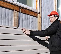 Best Custom Trim and Detailing for Siding  in Austintown, OH